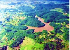 O plano de manejo do Parque Estadual Mata do Pau-Ferro está na iminência de se tornar uma portaria estadual. Ao ser institucionalizado, suas diretrizes terão força de lei, o que deve contribuir para a sua preservação. Crédito: Sudema/Reprodução