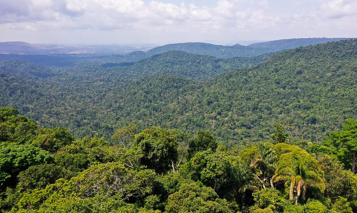 PROFESSOR DA UFPB INTEGRA GRUPO DE CIENTISTAS QUE IDENTIFICOU LACUNAS EM PESQUISAS ECOLÓGICAS NA AMAZÔNIA