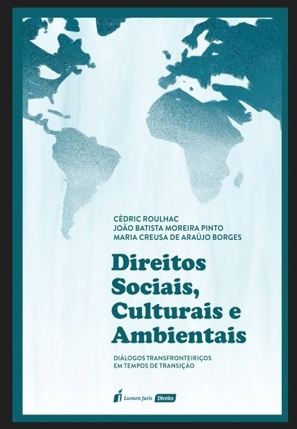 Obra é resultado de debates promovidos pelos docentes brasileiros e franceses em seminário de internacionalização realizado em 2019. Crédito: Editora Lumen Juris