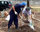 Projeto na UFPB recicla folhas e galhos para produção de adubo