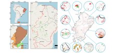 As três primeiras figuras representam o Semiárido brasileiro, que abrange os estados do Nordeste, além de 13,52% do Sudeste. A quarta figura mostra a espacialização do desflorestamento na área. A cor amarela retrata a relação de ganho-perda de cobertura florestal. A cor verde, ganho florestal. E a cor vermelha, desmatamento. Crédito: Celso Guimarães e Thiago Nascimento