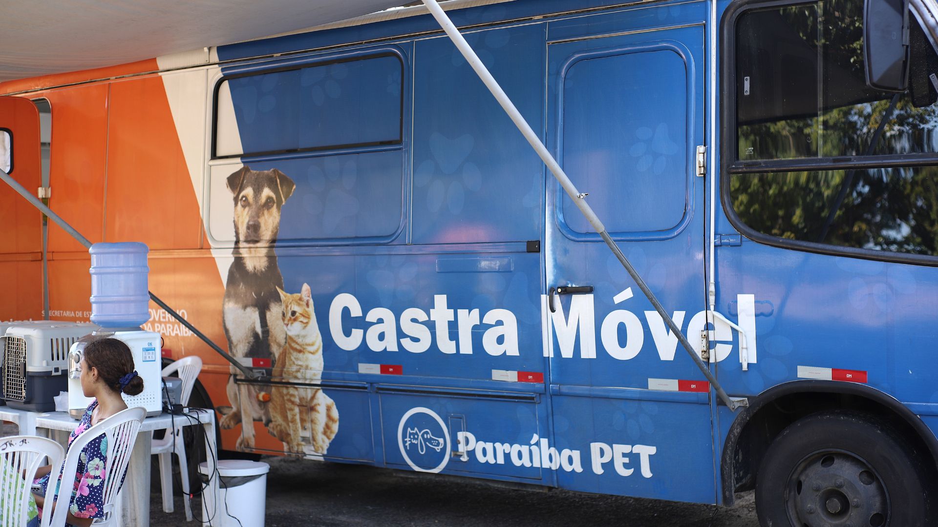 UFPB e NEJA realizam mais de 20 castrações em pets com apoio do Castramóvel UFPB e NEJA realizam mais de 20 castrações em pets com apoio do Castramóvel