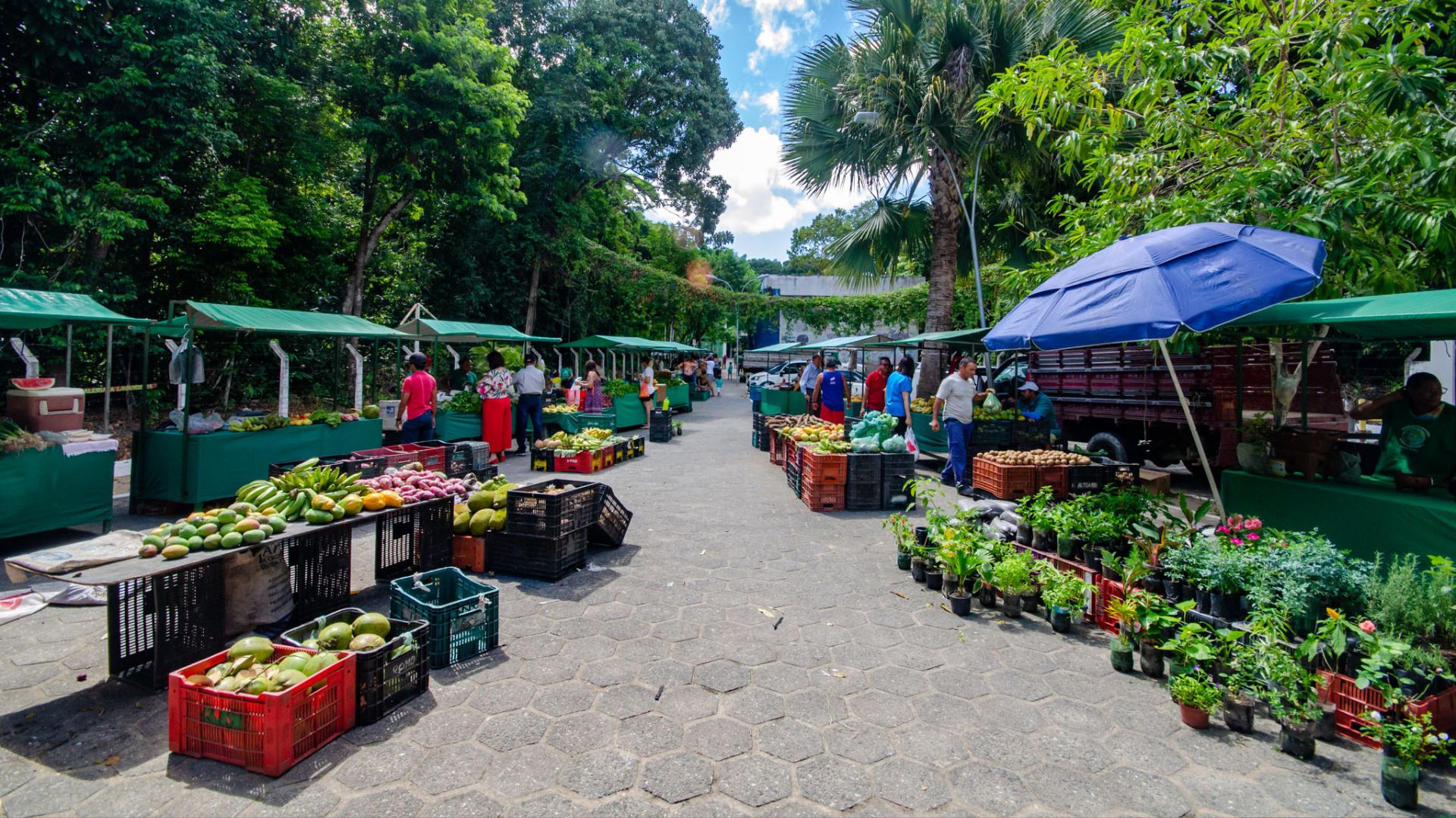 UFPB lança Programa BemNutrir no Campus Bananeiras nesta quarta-feira (30) UFPB lança Programa BemNutrir no Campus Bananeiras nesta quarta-feira (30)